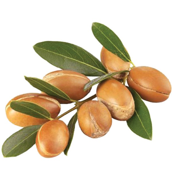 有機摩洛哥堅果油