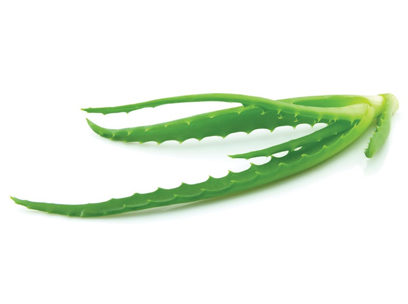 有機蘆薈萃取物